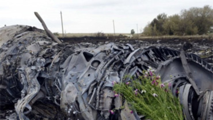 Террористы вывезли 50 мешков с останками погибших в Боинге-777