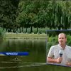 В Черкассах сточными водами отравляют парковое озеро (видео)