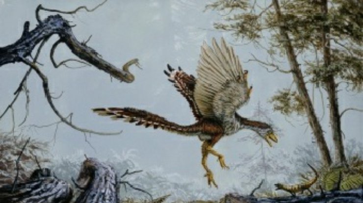 Уменьшение размера позволило динозаврам превратиться в птиц