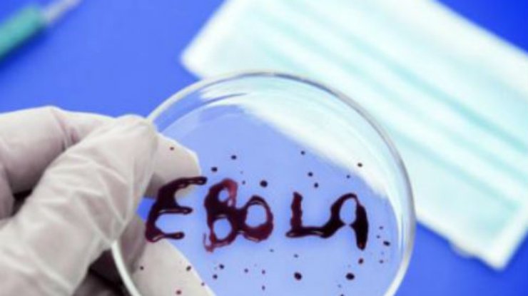 Ученые пророчат долгую жизнь лихордке Эбола