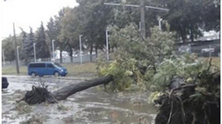 Разгул стихии: В Мариуполе - шторм, в Днепропетровске деревья вырывает с асфальтом (фото, видео)