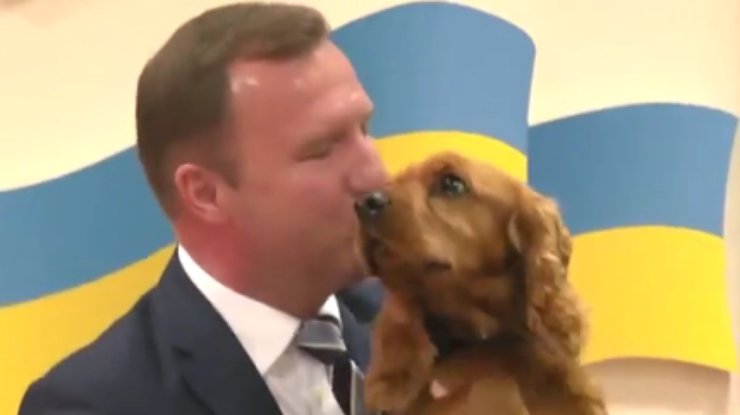 Самым честным таможенником Украины объявлен пес Джанго