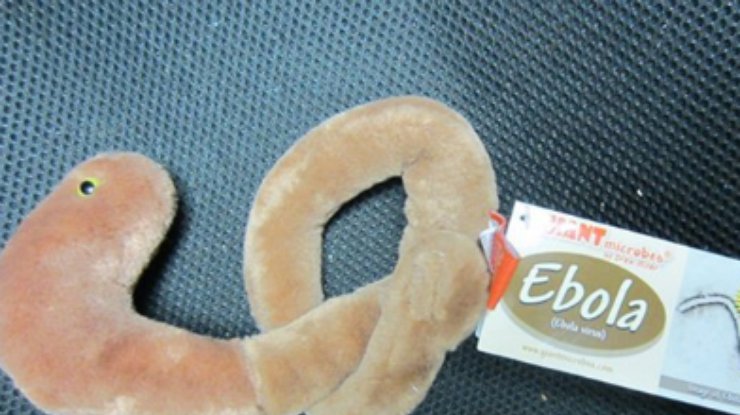 В США раскупили плюшевые игрушки в форме вируса Эбола (фото)