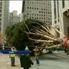 До Нью-Йорка привезли ялинку заввишки 26 метрів
