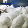 Поліція Німеччини вилучила три тонни метамфетаміну