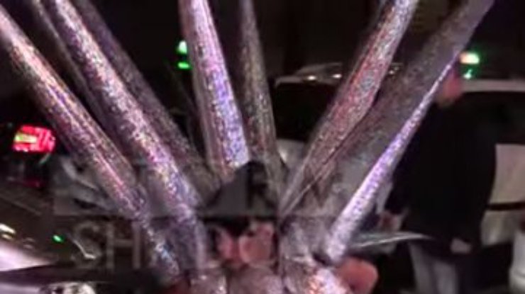 Леди Гага шокировала нарядом гигантского ежа (видео)