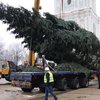На Софийской площади в Киеве установили 24-метровую елку (фото)