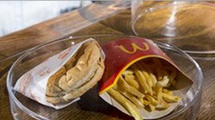 В Исландии бургер из McDonald’s  хранился 6 лет