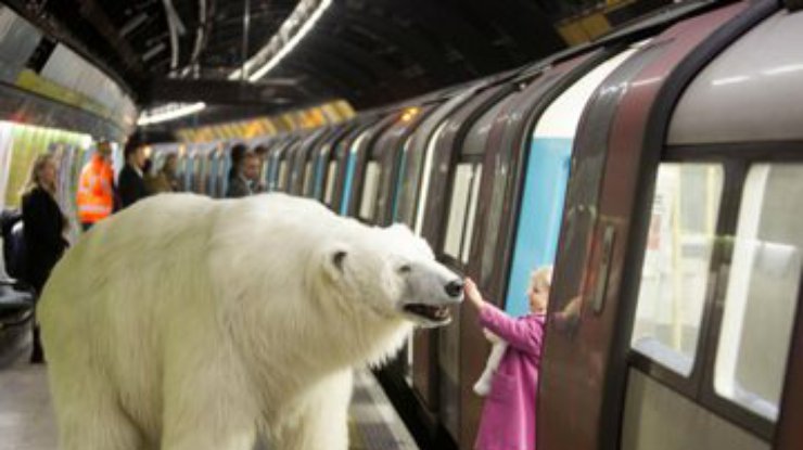 В Лондоне полярный медведь прошелся в метро (фото)