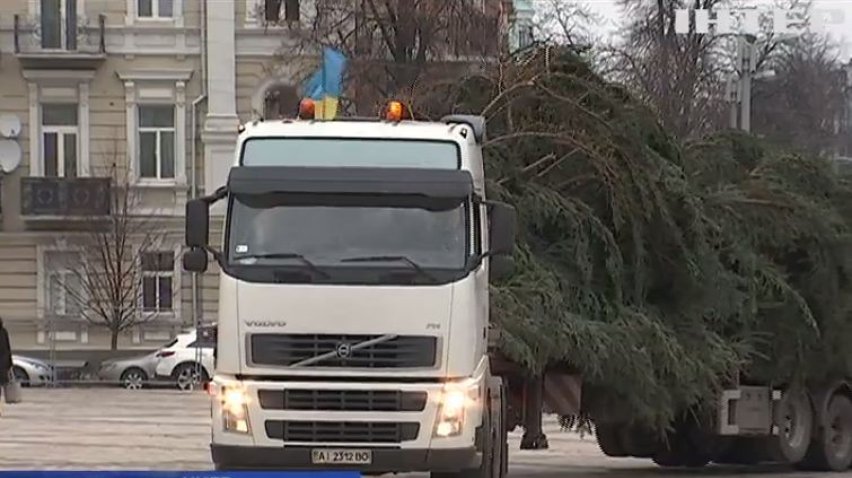 В Киев привезли новогоднюю елку за 13 тыс. гривен
