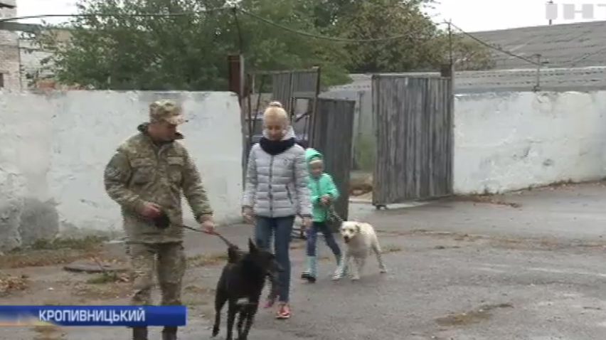 Поліцейські-кінологи у Кропивницькому навчають дітей ладнати з собаками