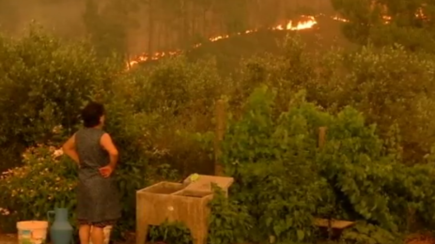 Пожежі у Португалії: у країні оголосили триденну жалобу