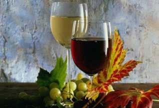 Вино Абхазии заинтересовало деловых людей из Чили
