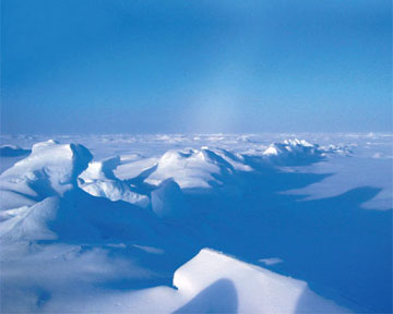 Больше всего льдов сохранится у северных границ Канады и Гренландии. Фото sciam.ru