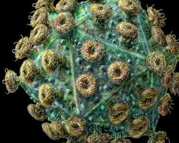 Замысел вакцины от СПИДа постепенно приобретает более ясные очертания. Фото Вокруг Света