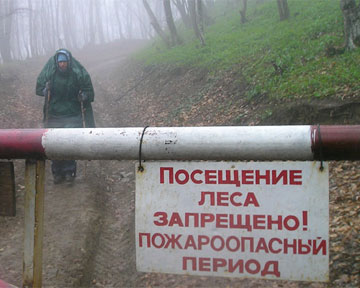 596961_3.jpg