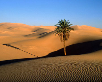 Последняя сильная засуха на западе Африки произошла в 1970-80х годах. Фото fotoart.org.ua
