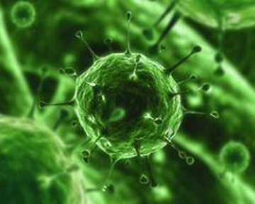 � ����� ��������� ������� �����