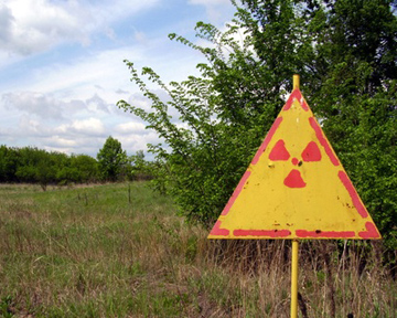 В Чернобыльской зоне собрались возрождать сельское хозяйство