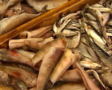 Половина украинской рыбы на прилавках не проходила проверку