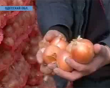 Украина готовится к продовольственному кризису