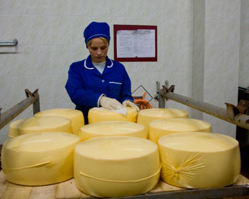 Украинский сыр