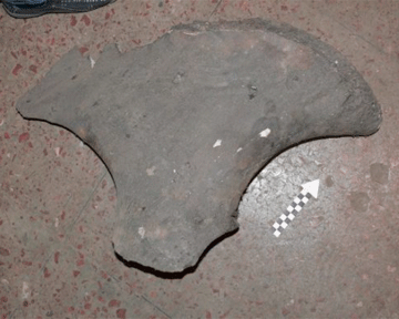 Под Луганском обнаружили древнейшие останки мамонта
