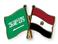 Египет поддержал решение Эр-Рияда об отказе от членства в Совбезе ООН