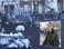 У баррикад на Грушевского собираются туристы и протестующие (видео)