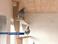 Житель Буковины выращивает голубей-рекордсменов (видео)