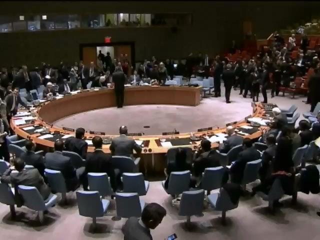 Совбез ООН обсудит украинский вопрос (видео)