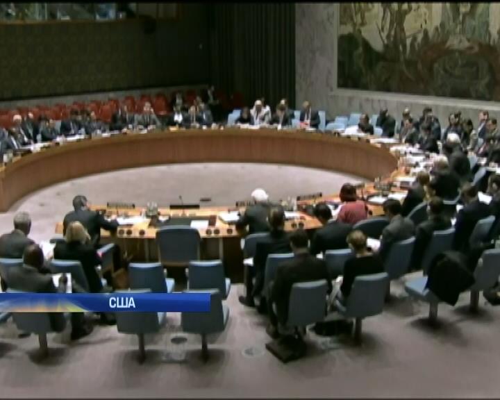 Совбез ООН обсудил украинский вопрос (видео)