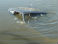 В Сумской области автомобиль с военными упал в озеро: Двое погибших