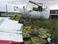 Расследование катастрофы Боинга-777: террористы пытаются замести следы (онлайн, фото)