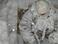 Фото замерзающих украинских солдат оказались фейком