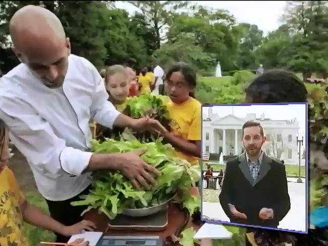 От Обамы ушел шеф-повар и друг семьи (видео)