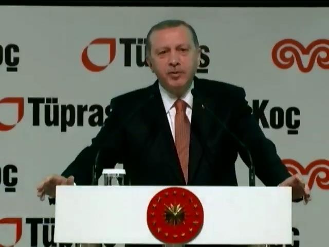 Турция просит ЕС не лезть не в свои дела (видео)
