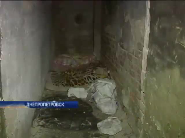 Бомбоубежища в Украине приватизировали и превратили в овощебазы и склады (видео)