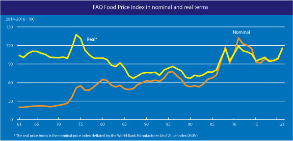 Мировые цены на еду подорожали до максимума за последние 7 лет