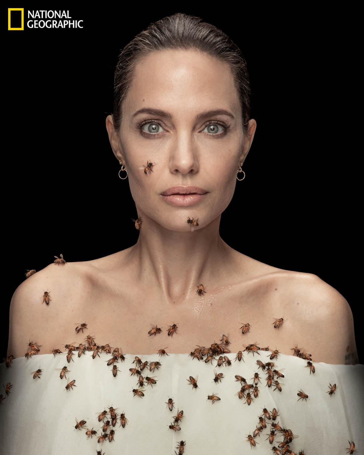 Анджелина Джоли устроила фотосессию с роем пчел