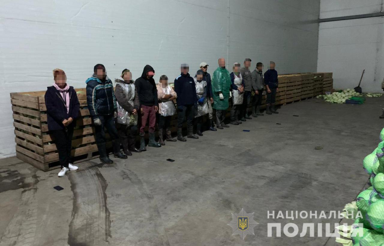 Под Днепром из трудового рабства освободили 60 человек