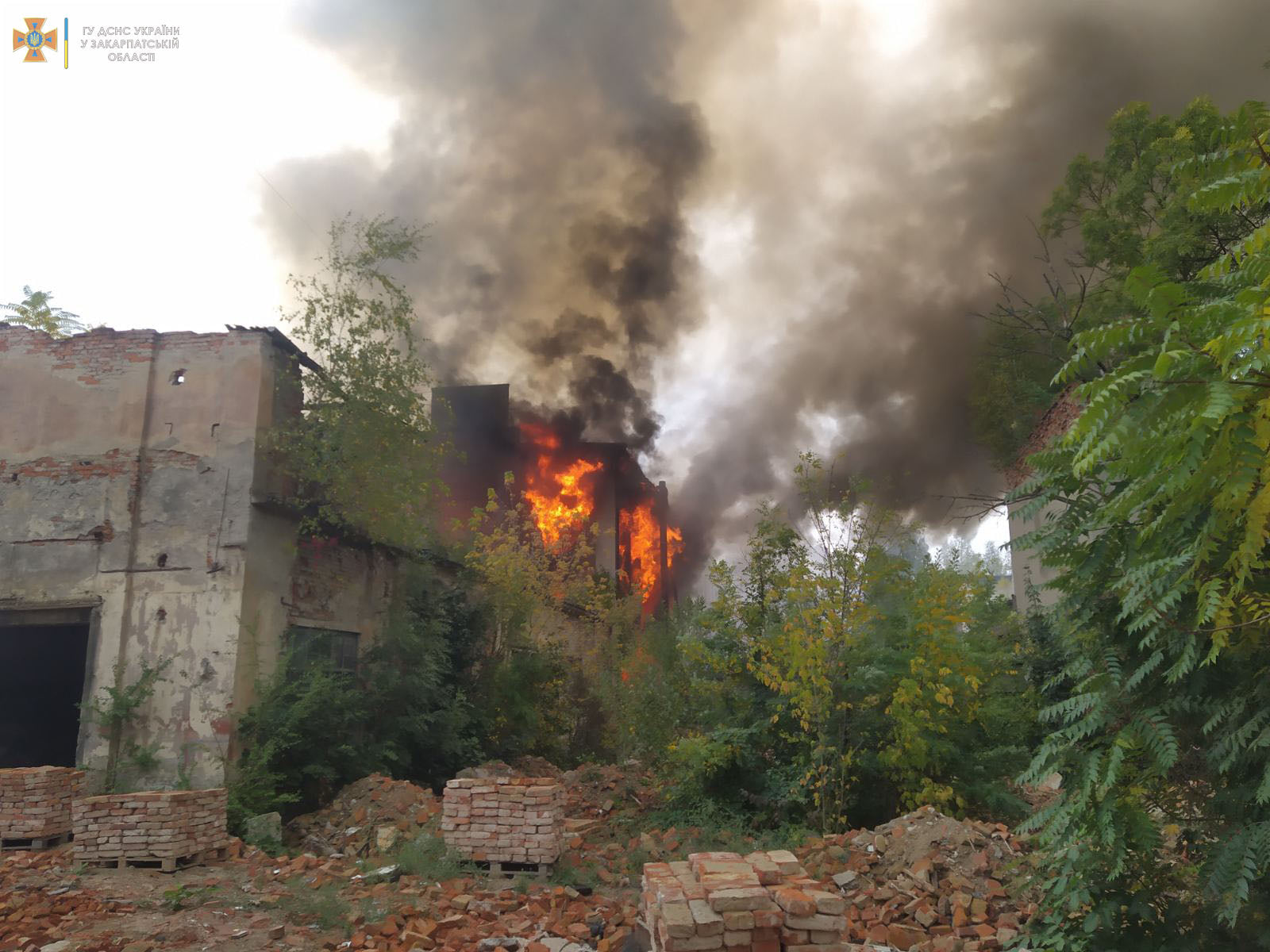 На Закарпатье горит здание завода "Мукачевприбор" 