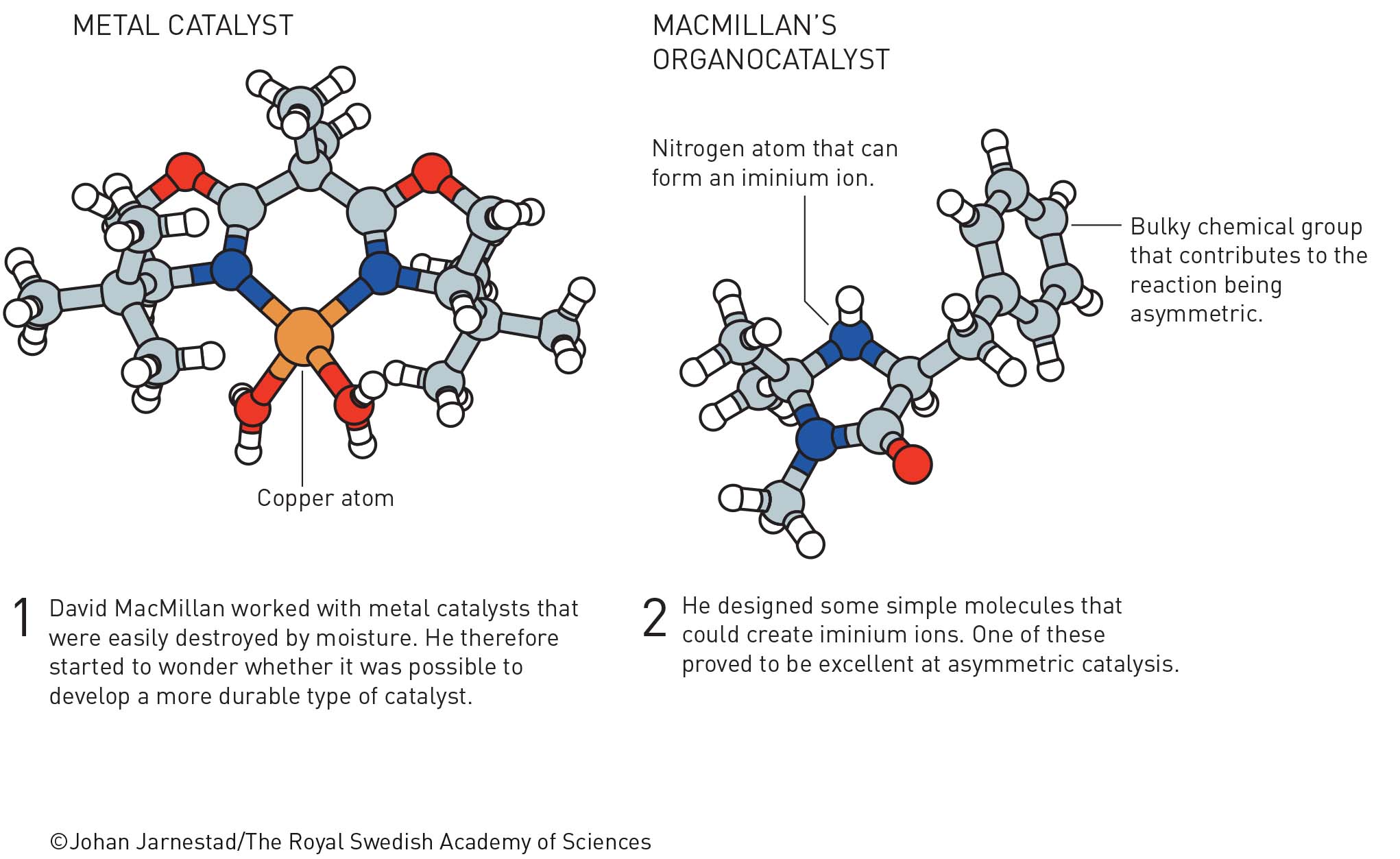 Нобелевскую премию по химии присудили за асимметрический органокатализ