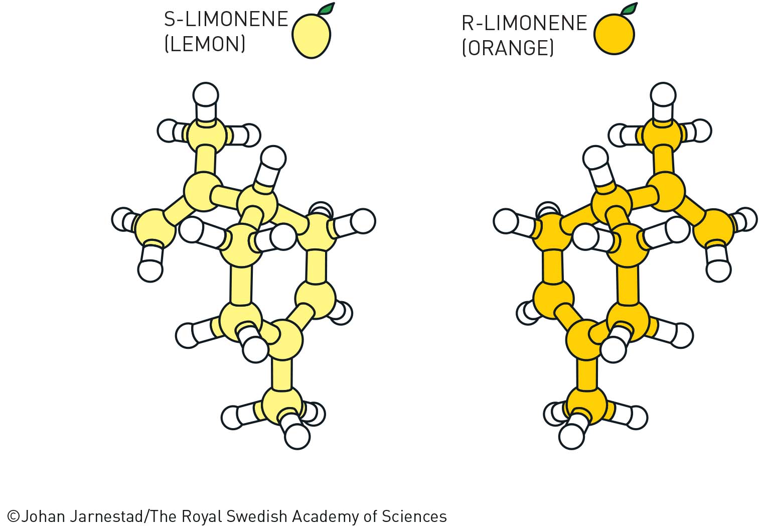 Нобелевскую премию по химии присудили за асимметрический органокатализ