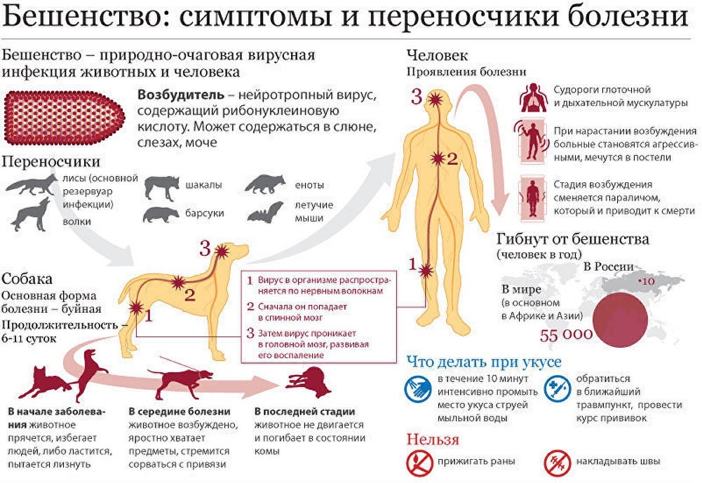В Украине произошла череда вспышек опасных болезней