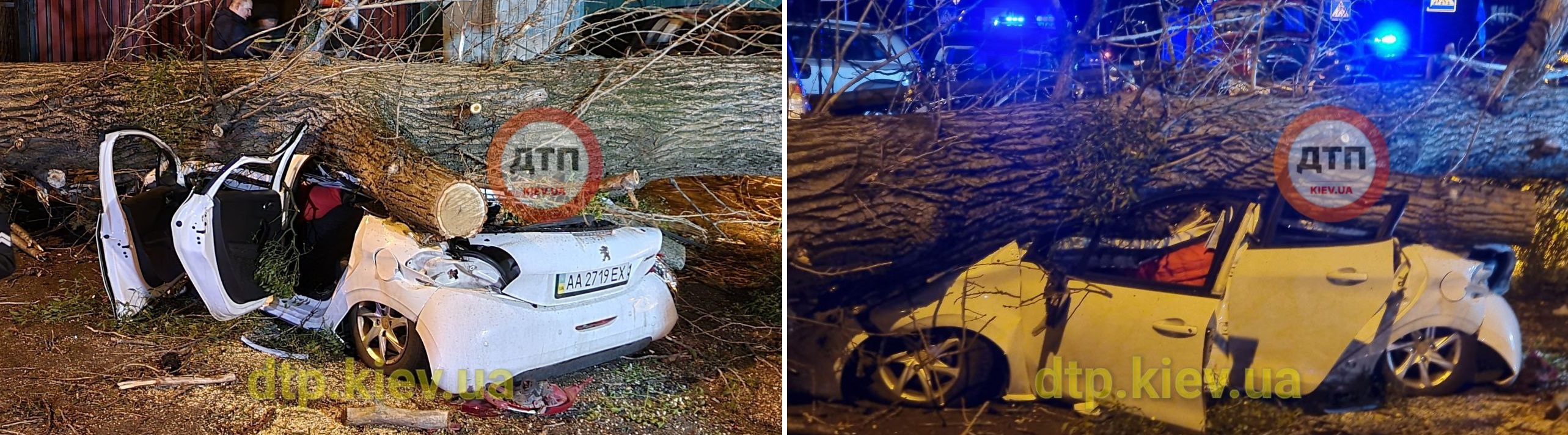 В Киеве огромное дерево раздавило мужчину и женщину в автомобиле