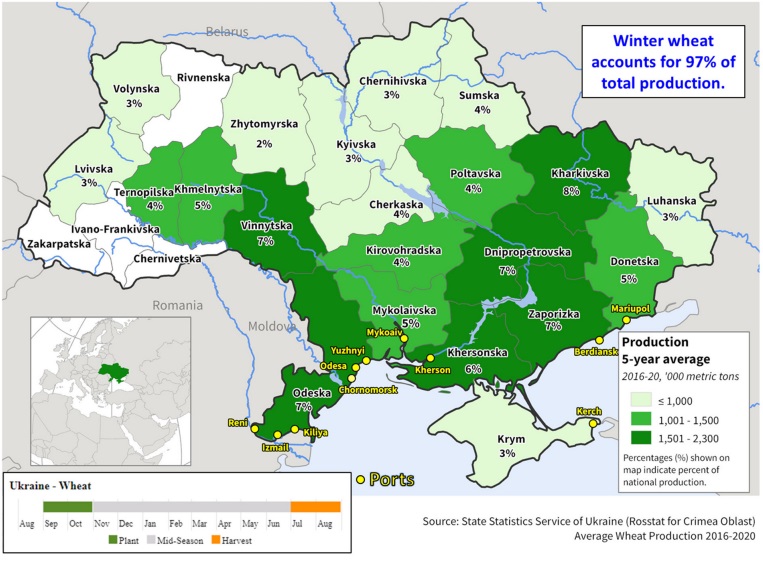 Україна: виробництво пшениці