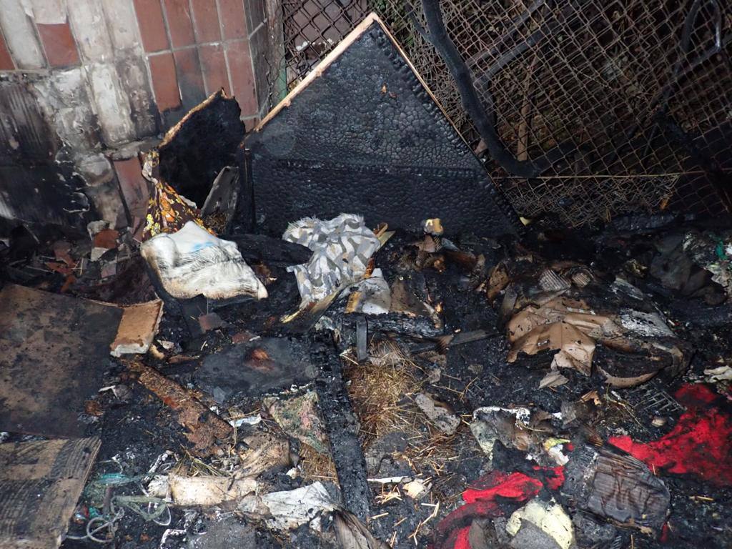 У Києві підпалили притулок для тварин "Котобаза"