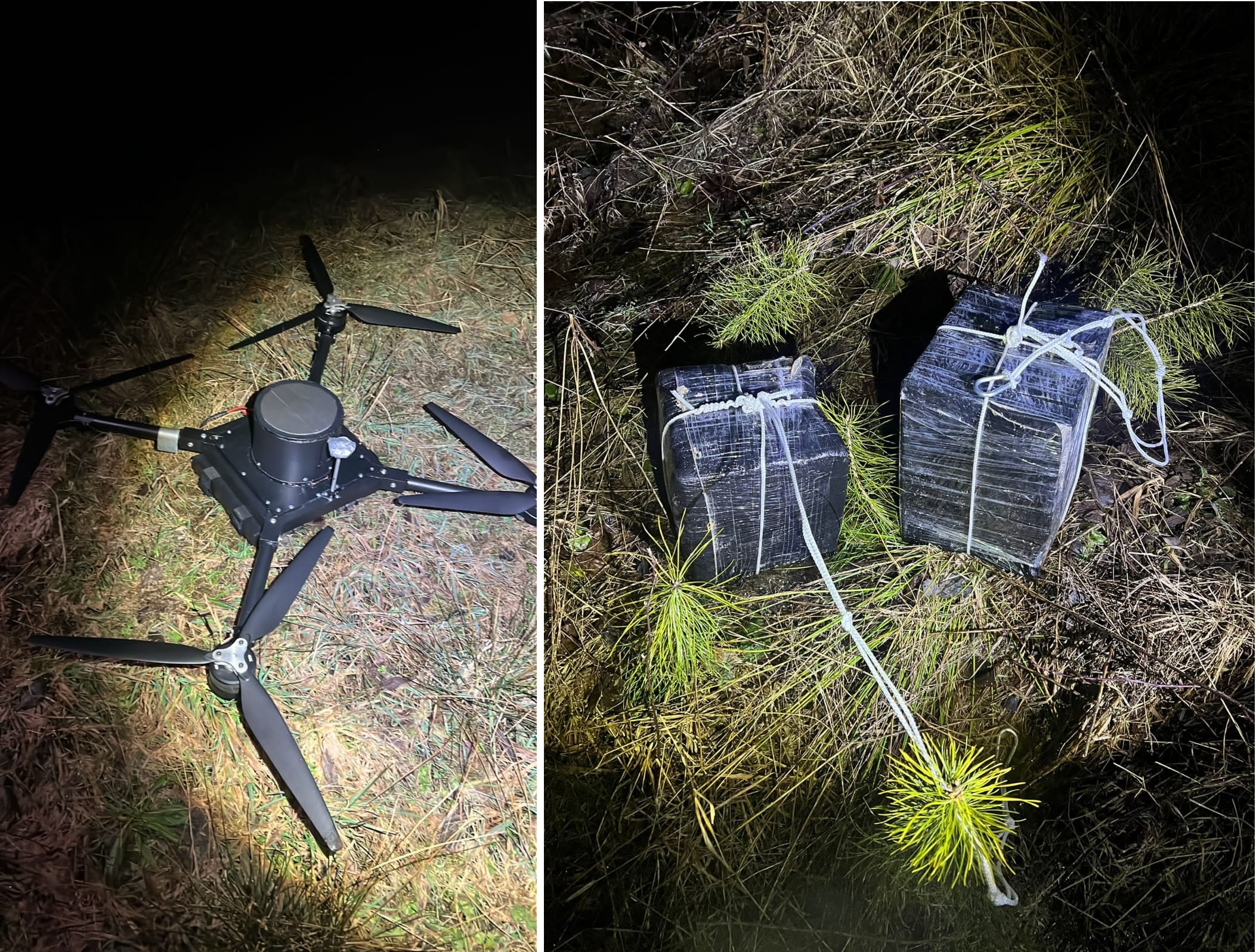 На Волині прикордонники приземлили дрон з 22 кг гашишу