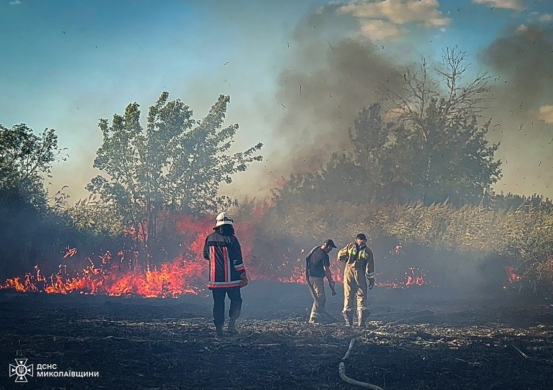 На Миколаївщині палає 70 гектарів Андріївського урочища